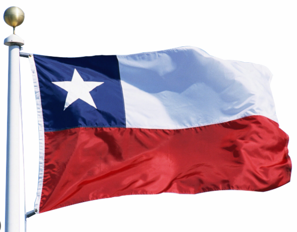 BANDERA GENERO 140X210 CM