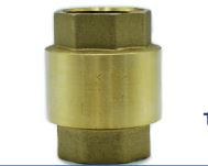 VÁLVULA RETENCION 1 1/4 in