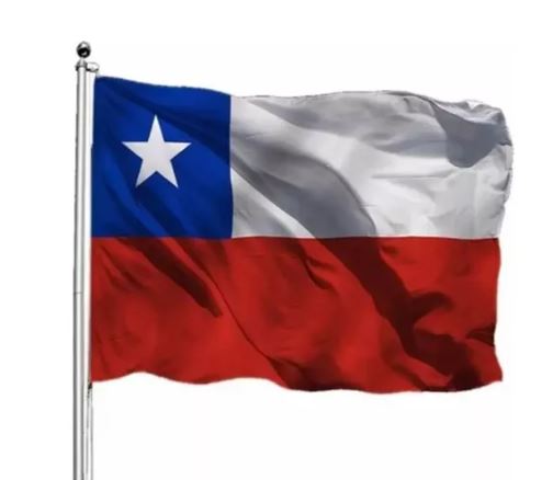 BANDERA GENERO 90X135 CM