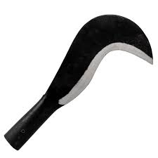 [GYJRAT-0001] ROZON AMBIDIESTRO | TRAMONTINA